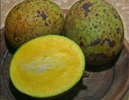  Buah  Bacang Manfaat Efek  Samping  Tips Penyimpanan dan 