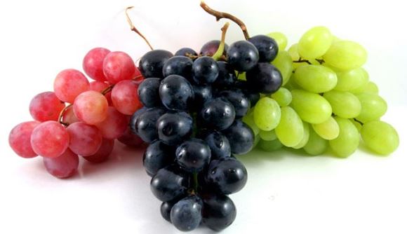 Gambar buah anggur merah