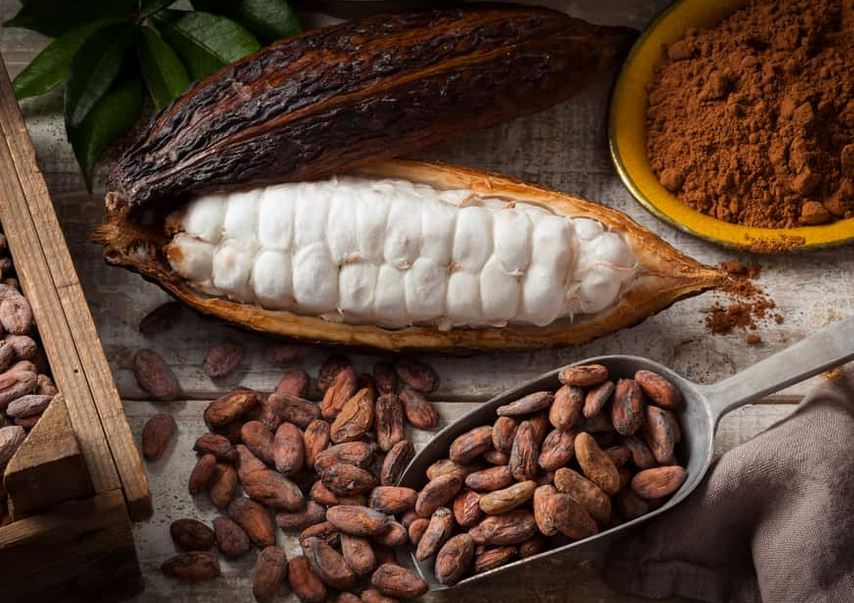 Kakao: Manfaat - Efek Samping dan Tips Konsumsi - IDN Medis