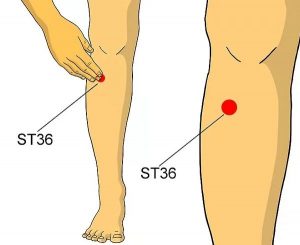 titik akupunktur ST36
