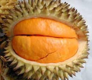 Buah Lai