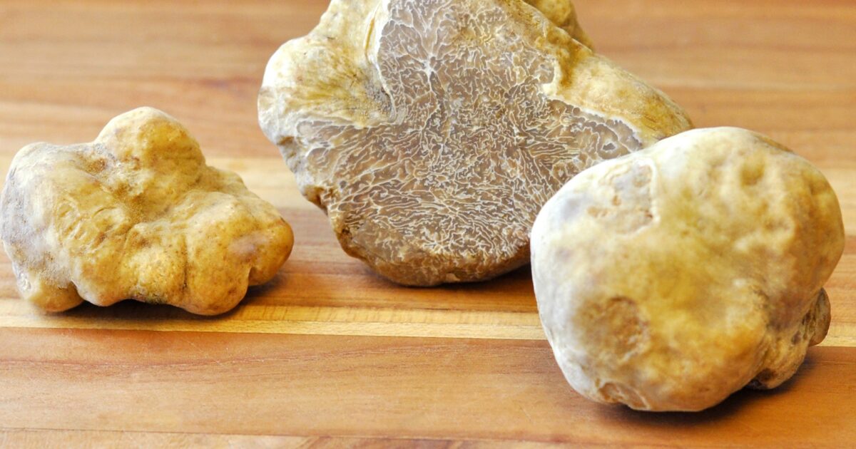 Jamur Truffle: Manfaat - Efek Samping Dan Tips Konsumsi - IDN Medis