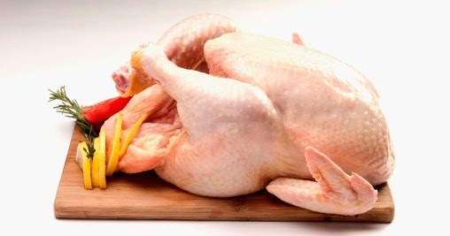 Manfaat dan Kandungan Gizi Ayam Kalkun