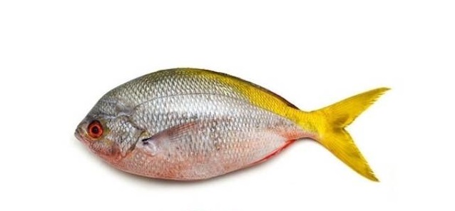 Kandungan Gizi Ikan Ekor Kuning